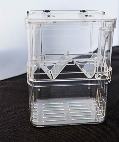 Aquarium Fish Tank Breeding Breeder Rearing Box Hatchery Clear Isolation Case (BX-003) - size: BX-003