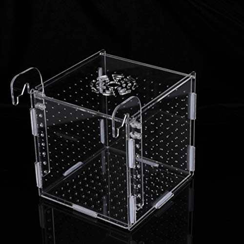 Aquarium Fish Breeding Box - Transparent Acrylic Fish Tank Hatchery Hanging Incubator for Shrimp Clownfish (Hook 151516cm)