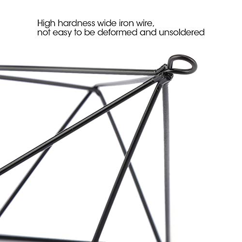Air Plant Holder,Metal Geometric Hanging Airplants Plant Hanger, Freestanding Hanging Geometric Plant Stand, Flower Hanger Moss Fern Plant Pot Decor(Black)