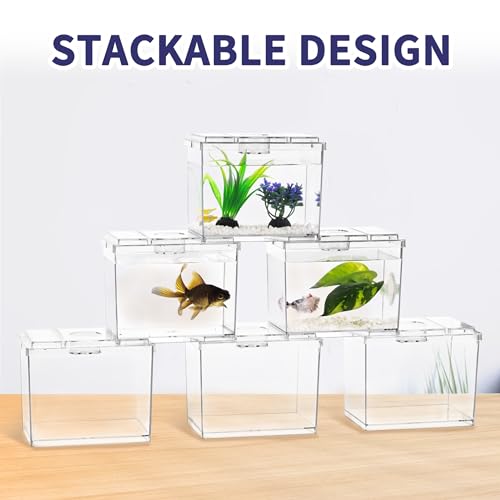 Mini Betta Fish Tank, Small Fish Bowl for Temporary Space, 0.2 Gallon Stackable Cube Tank with Betta Leaf and Gravels for Small Fish, Insect, Shrimp, Crab, Spider.(Pack-2)