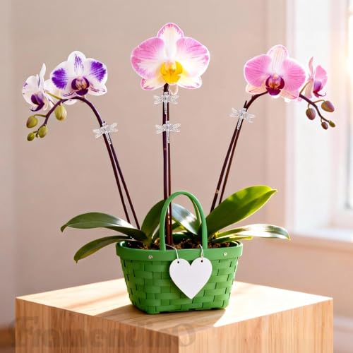 Framendino, 100 Pack Clear Dragonfly Orchid Clips Garden Plant Support Vine Stem for Climbing Plants Flowers