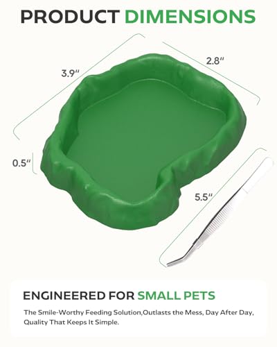 4Pcs Snail Food and Water Bowl, Reptile Water Dish and Food Bowl, Natural Design Terrarium Feeding Dish for Garden Snails, Hermit Crab, Lizard, Frog, Gecko (Black, Green)