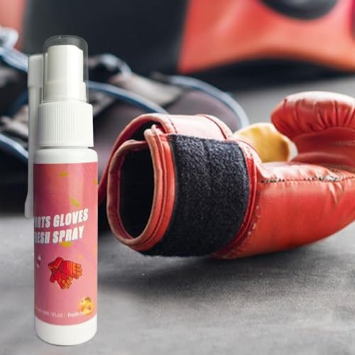 Boxing Glove Deodorizer Natural Sports Freshener