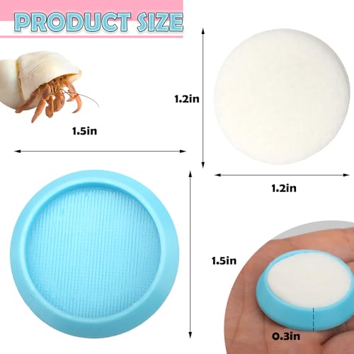 6 Pcs Cricket Water Bowl Plastic Feeding Dish with 6 Pcs Sponge for Hermit Crab Cricket Scorpion Ant Isopod Invertebrate (Blue)