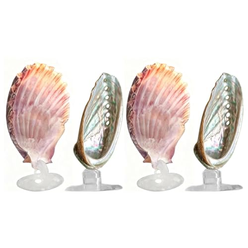 Betta Fish Bed, 4 Pieces Shell Shaped Resting Pads, Betta Resting Spot with Suction Cup for Aquarium Tank, Shrimp Breeding, Relaxation Cave, and Pet Store Display