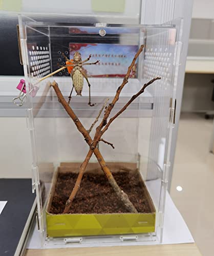 Magnetic Acrylic Case, micro habitat small Tarantula Enclosure enclosure for arboreal Tarantula Scorpion Sling Lizards Mantis Snake Gecko jumping spider snail Insect Isopods (4.7*4.7*7.8 inch)