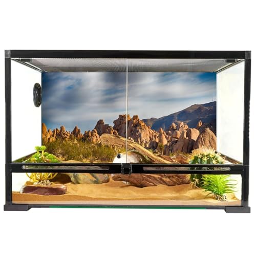 YongFoto Polyester Joshua Tree National Park Photography Background Stones Valley Cactus Shrub Bush Desert Sand Land Backdrop for Photoshoot Wild West Party 72x18 inches Dragon Tank Background - color: Yellow-2, size: 72x18 IN