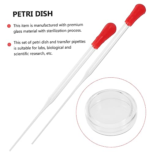 6pcs Petri Dishes Lids Transfer Pipettes Specimen Container for Science Lab