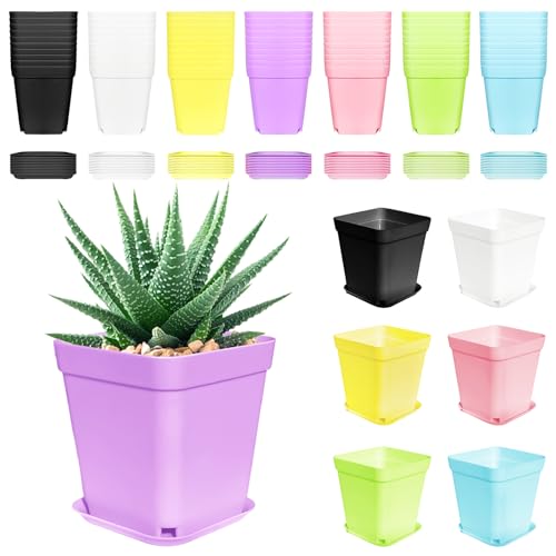 70 PCS 3" Colorful Plastic Plant Pots,Plastic Square Nursery Pot,Seedling Nursery Pots with Saucers for Indoor Outdoor Plants,Garden,Flower,Home,Office,Balcony Decor - color: 7 Colors