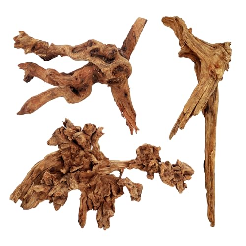 3 PCS Large Natural Aquarium Driftwood 8-10", Aquarium Drift Wood for Fish Tank Decoration, Assorted Size Mopani Wood Twisted Branches Trunk Decor for Freshwater, Reptile Terrarium - color: Mopani Driftwood 8-10in(3PCS)