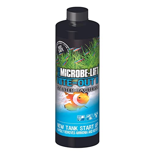 MICROBE-LIFT Nite-Out II Aquarium Bacteria for Start-up, Instantly Cycle Aquariums, Add Fish on Day 1, Rapid Ammonia and Nitrite Reducer for Freshwater & Saltwater Fish Tank, 16 Ounces (NITEH16)