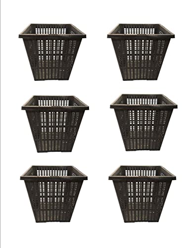 PondH2o 4" Square Water Garden Pond Aquatic Plastic Slotted Mesh Pond Plant or Flower Basket 6 Pack, Plastic Planting Pots Water Garden Pot for Pond Aquarium Aquaponics, Hydroponics