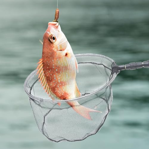 Garneck Telescopic Fishing Net 1.5m with Wear-Resist Mesh and 35cm Net Head Portable Replacement for Freshwater and Camping Use