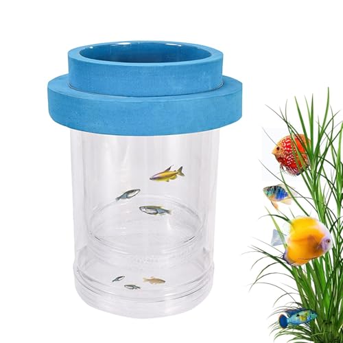 Floating Fish Breeder Box, Fry Hatching Incubator, Transparent Separator Chamber, Professional Aquatic Nursery, Heavy Duty Spawning Hardware - color: large