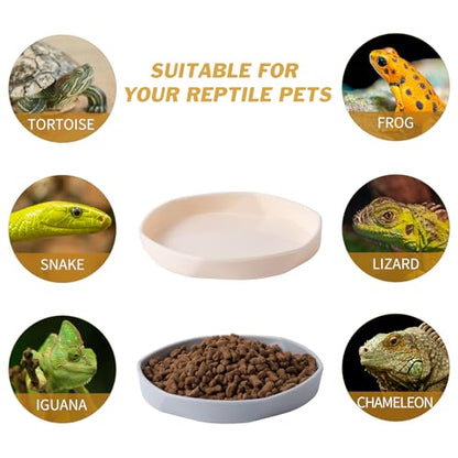 4 Pack Small Reptile Food Dish Bowl, Plastic Worm Water Dish Plate for Lizard Gecko Bearded Dragon Chameleon 4" W x 4" D x 0.5" H, White and Grey