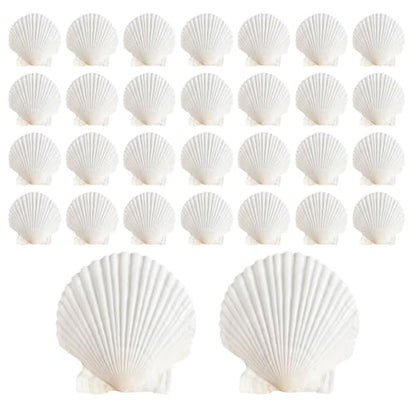 30Pcs Sea Shells, 2''-3'' Natural Scallop Crafts - DIY Beach Seashells Decorating Painting Ocean Themed Party Wedding Shell Bowl Jewelry Holder