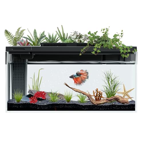 3.7 Gallon Betta Fish Tank self Cleaning,Smart Aquarium Aquarium kit with Filter Light Water Pump (Black)