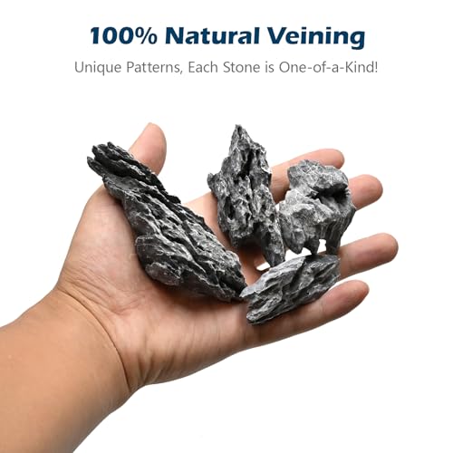 Natural Rocks Seiryu Stone 1-2.5 Inches Decorative Stones for Fairy Gardens,Miniature Landscaping,Bonsai,DIY Crafts, Aquariums & Reptile Terrariums-1lb