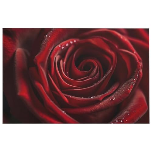 Outdoor Door Mat 15.7" X 23.6" Non-Slip Doormat Close-Up Photo of Red Rose Front Door Mats Quick Dry Welcome Mats for Outdoor Indoor Entrance Mat Home Decor Floor Mats for Patio - color: Close-up Photo of Red Rose