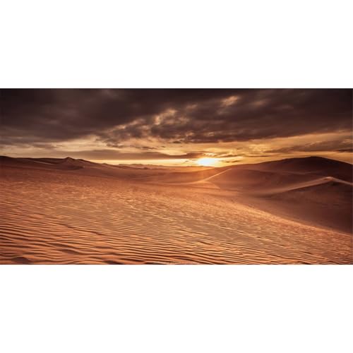 AWERT 36x20 inches Sun and Desert Terrarium Background Blue Sky Orange Sand Reptile Habitat Background Vinyl - size: 36x20in/90x50cm