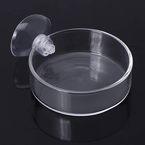 Glass Feeder Dish 2.4 Inches Wide 0.7 Inches Transparent Round Food Bowl for Cory Pleco Bottom Feeding Fish Aquarium Heater Light Thermometers Gravel Sand Decorations