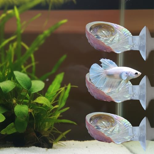 3PCS Betta Hammock Shells, Natural Small Fish Tank Decorations, Betta Fish Tank Accessories, Aquarium Decorations, Aquarium Hideout Habitat for Sleeping Resting Hiding Playing (Multicolor) - color: Multi Color