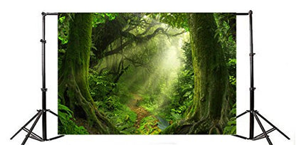Enchanted Forest Backdrop 7x5ft Green Trees Outdoor Jungle Forest Backdrops for Photography Fairytale Nature Rainforest Sunset Party Decorations Background Kids Baby Photo Props Vinyl