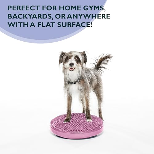 FitPaws® Dog Balance Disc, Exercise Equipment, Rehabilitation + Training, - color: Razzleberry, size: 14"
