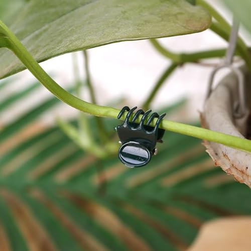 30 pcs Plant Clips, Orchid Clips Plant Orchid Support Clips Flower and Vine Clips for Supporting Stems Vines Grow Upright Dark Green