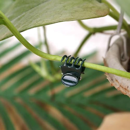 30 pcs Plant Clips, Orchid Clips Plant Orchid Support Clips Flower and Vine Clips for Supporting Stems Vines Grow Upright Dark Green