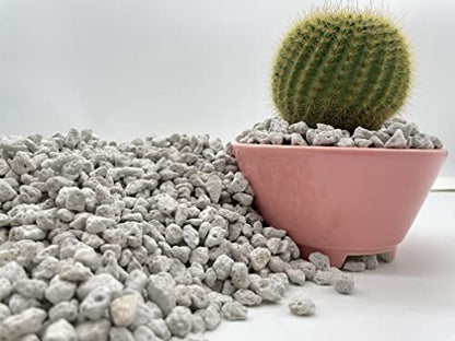 Pumice for Bonsai, Succulent, Cactus, Alocasia, Monstera, and Tropical Aroids | 20 Quarts Bag | 1/4” Particle Size | The Bonsai Supply - size: Pumice 20 Quarts