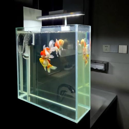 High-Clarity 3.5 Gallon Fish Tank 30 * 15 * 30CM - Low Iron Glass Aquarium with Space-Saving Thin & Narrow Designs | Includes Non-Slip Mat, Corner Guards + Decor | Ideal for Desktop/Bathroom - size: Small