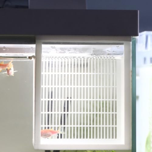 Protective Fry Nursery Habitat Box Offering Safe Growth Predation with Ventilation Construction Aquariums Breeding Box
