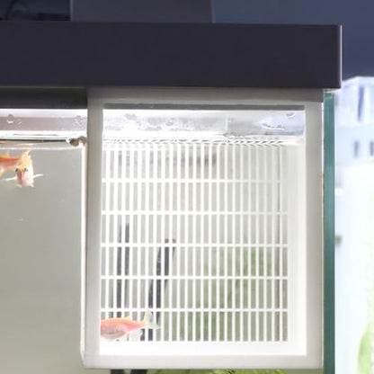 Protective Fry Nursery Habitat Box Offering Safe Growth Predation with Ventilation Construction Aquariums Breeding Box