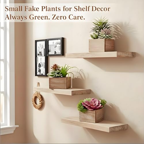Succulent Plants Artificial, 3 Pack Small Fake Plants in Wood Pot for Home Decor, Farmhouse Artificial Plants Indoor for Living Room Bathroom Bedroom Office Kitchen Desk Wedding Coffee Table Decor
