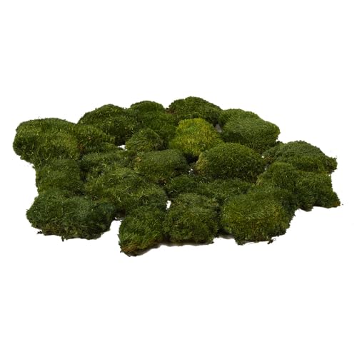 Preserved Pole Moss Pillow Bun Cushion Natural Green Decorative Real Natural DIY Kit Terrariums Garden Art Wall Florist Easter Wedding Decor (1.5 sq.ft., Green-A) - color: Green-a, size: 1.5 sq.ft.