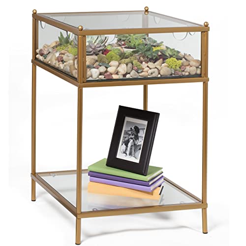D'Eco Square Terrarium Display End Table w/Reinforced Glass in Gold Iron - (Dims: 18 x 18 x 27) - Indoor Decor for Any Home or Office - DIY Garden for Succulents, Moss, Fern - Gift for Plant Lovers - color: Green