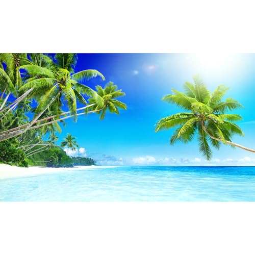 SandBeach Fish Tank Background Tropical Ocean Paradise Island Aquarium Background Sea Beach Seascape Terrarium Backgrounds Sunray Blue Sky Seacoast Ocean Sea Waves Reptile Tank Backgrounds 24x16in - color: Blue_Green, size: 24(W)x16(H)inches/ 60(W)*40cm(H