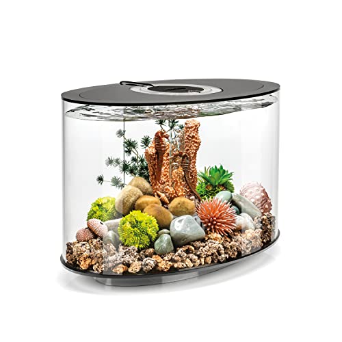 biOrb Loop 15 Acrylic 4-Gallon Aquarium with White LED Lights Modern Compact Tank for Tabletop or Desktop Display, Black-Trimmed Tank
