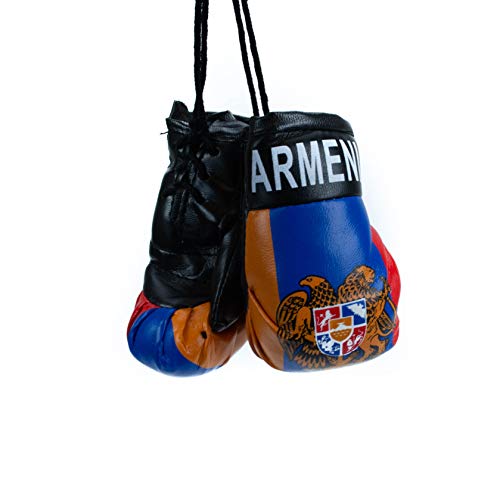 Armenian car Charm Boxing Gloves with Armenian Flag and Emblem Car Hanging Decoration Rearview Mirror Charm