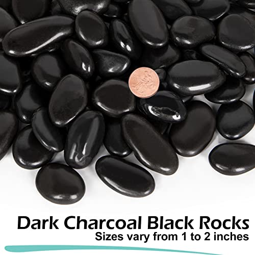 15 lb Black River Rocks for Landscaping, Polished Black Pebbles for Potted Plants & Vases, Large 1-2 Inch Decorative Stones for Garden Beds, Planters & Aquariums Decor
