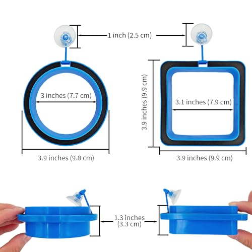 2Pcs Thicken Fish Feeding Rings Blue Mixed Shape Floating Food Feeder Circle with Suction Cup for Fishes Tank Aquarium Turtle Betta Goldfish Small Fish Feeding Accessories Duckweed Ring