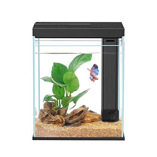 Betta Fish Tank, 2 Gallon Glass Aquarium Starter Kit, Small Fish Tank with Filter and Light.(Black) - color: Black, size: 2 Gallon