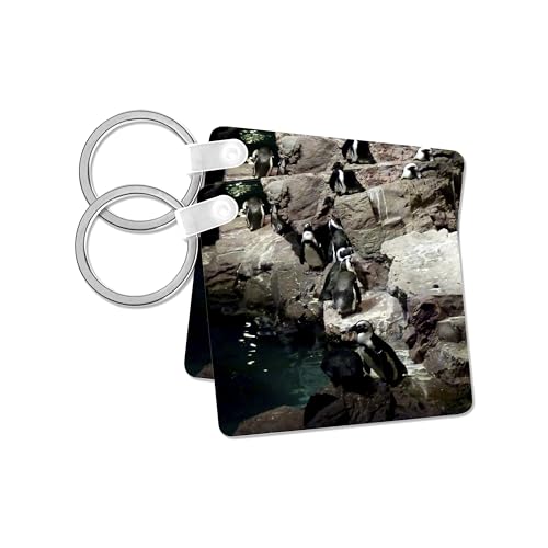 3dRose, Penguins hanging out in the Boston Aquarium, Key Chain