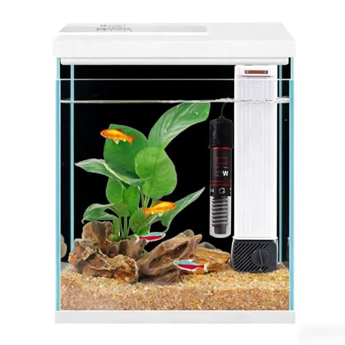 2 Gallon Glass Betta Fish Tank with Heater Filter and Light, Self-Cleaning Small Aquarium Starter Kits
