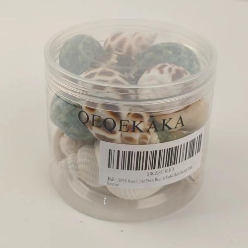 15PCS Hermit Crab Shells Include Small & Medium and Large (6 Types) Natural Seashells, for Hermit Crab Supplies and Replacement Sea Shells