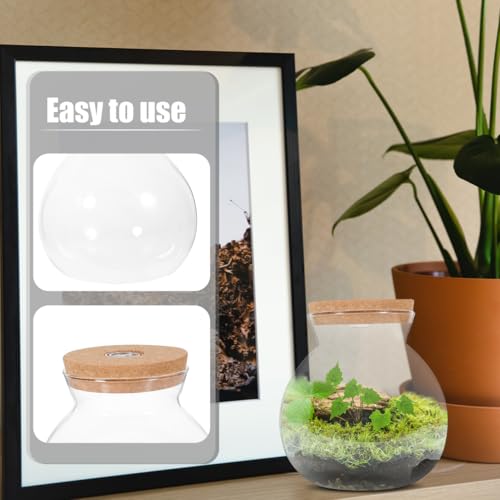 Led Light Bottle 6.29X5.90X5.90 Inch Glass Micro Aquarium Fish Tank DIY Micro Landscape for Home Office Decoration