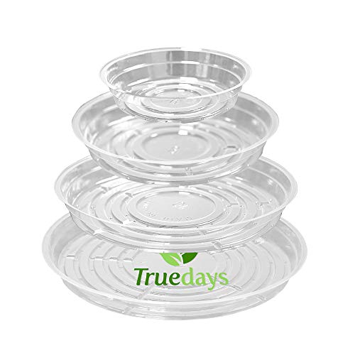20 Pack Plant Saucers (6 inch / 8inch / 10inch / 12inch) Clear Plant Saucers Flower Pot Tray Excellent for Indoor & Outdoor Plants - style: Multi-Size (6''+8''+10''+12'')