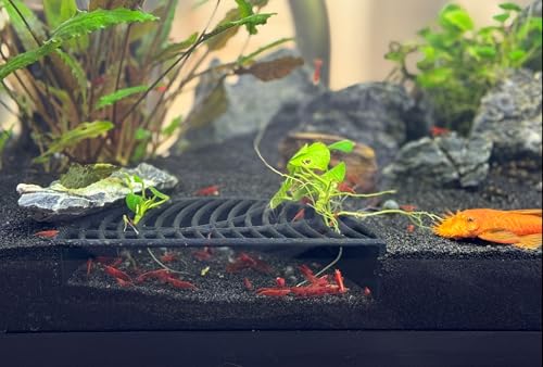 Shrimp Breeding Hide | Shrimp Cave | Shrimp Hide | Tunnel | Black