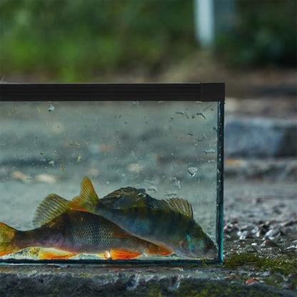 Toddmomy Fish Tank Edge Protector Strip Safety Guard Aquarium Edge Sealing Easy to Install Corner Guards